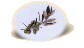 Varietà Ascolana