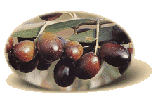 Varietà  Ppendolino