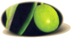 Varietà Sargano